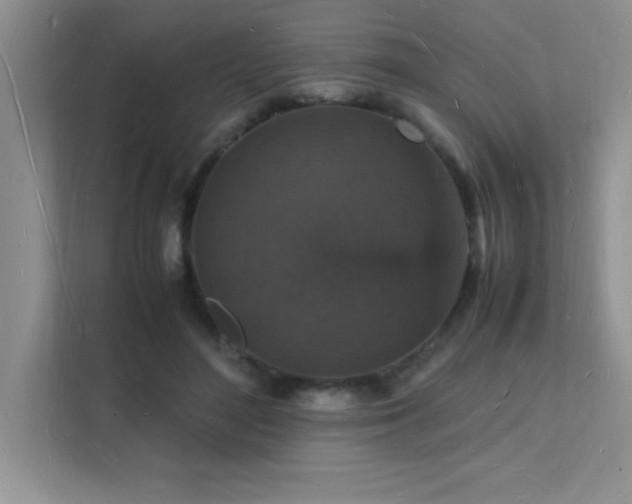 X0000112150500200908071119