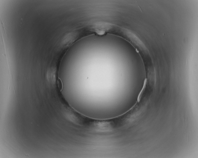 X0000112150501200908071119