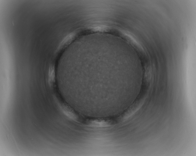 X0000112150502200908071119