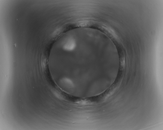 X0000112150503200908071119