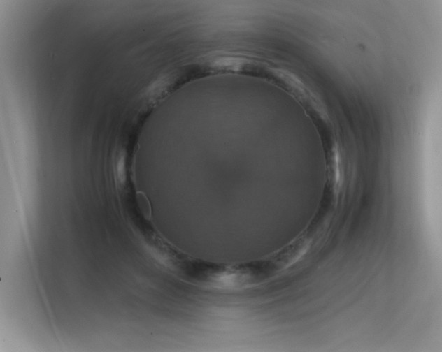 X0000112150504200908071119