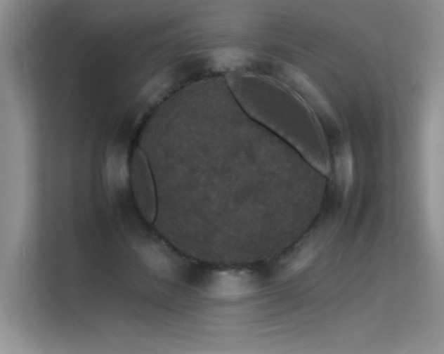 X0000112150508200908071119