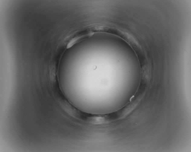 X0000112150509200908071119