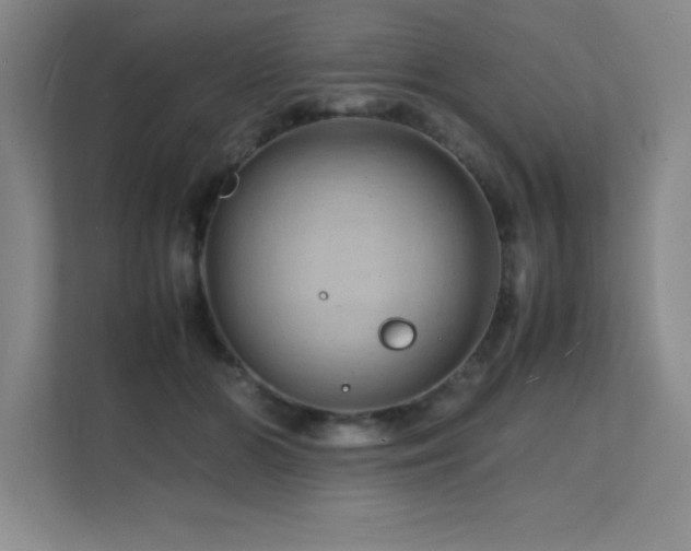 X0000112150510200908071118