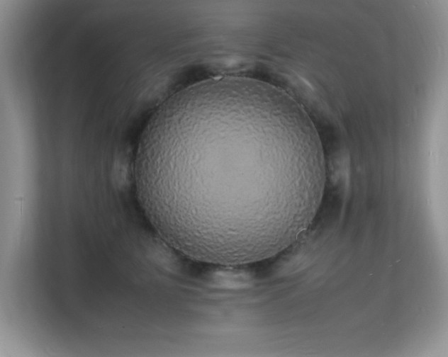 X0000112150515200908071118