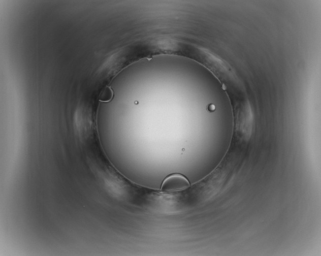 X0000112150518200908071118
