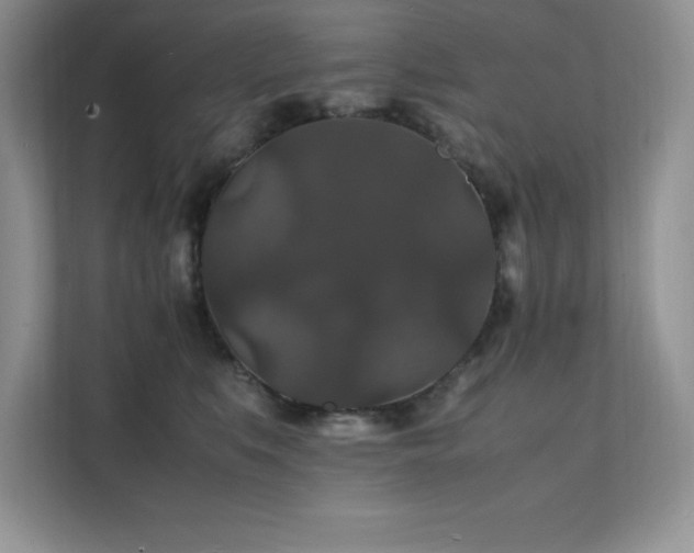 X0000112150519200908071118