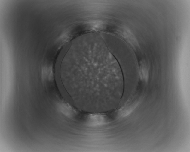 X0000112150520200908071118