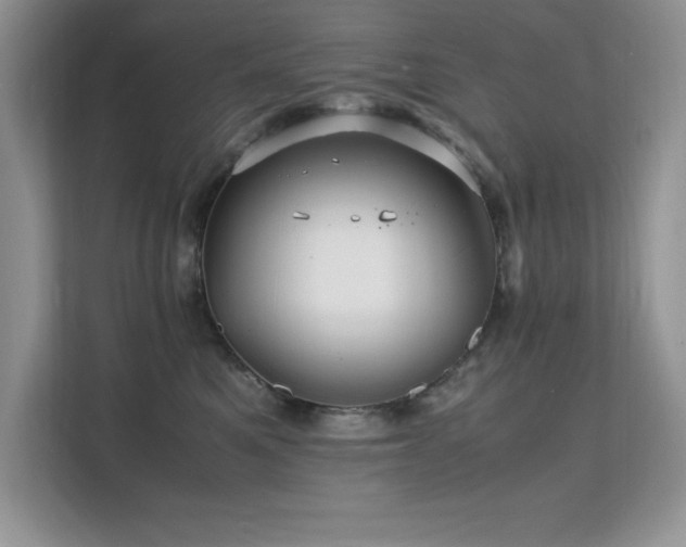 X0000112150521200908071118