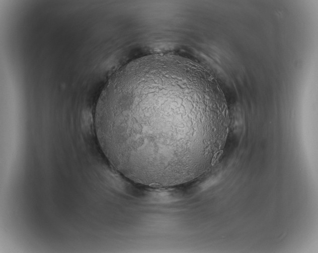 X0000112150523200908071118