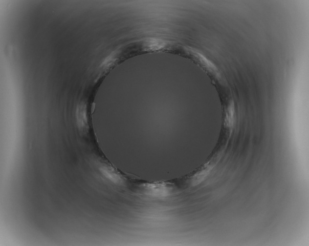 X0000112150524200908071118