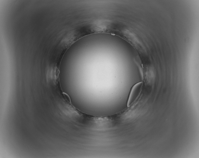 X0000112150525200908071118