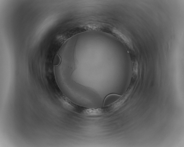 X0000112150526200908071118