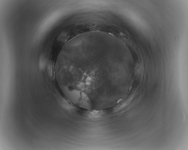 X0000112150527200908071118