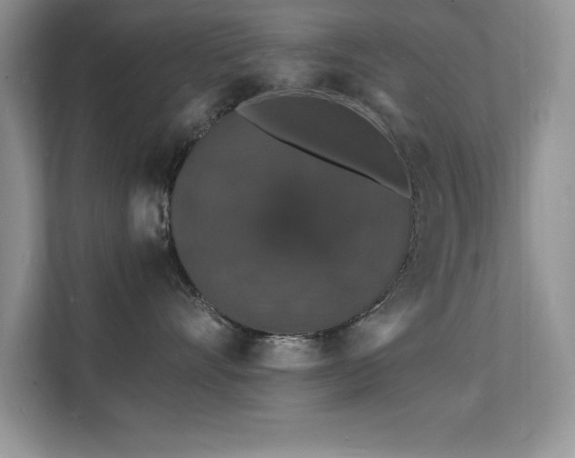 X0000112150528200908071118