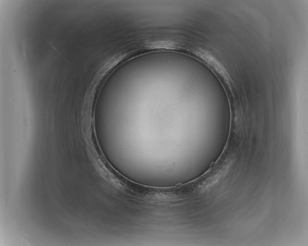 X0000112150529200908071118