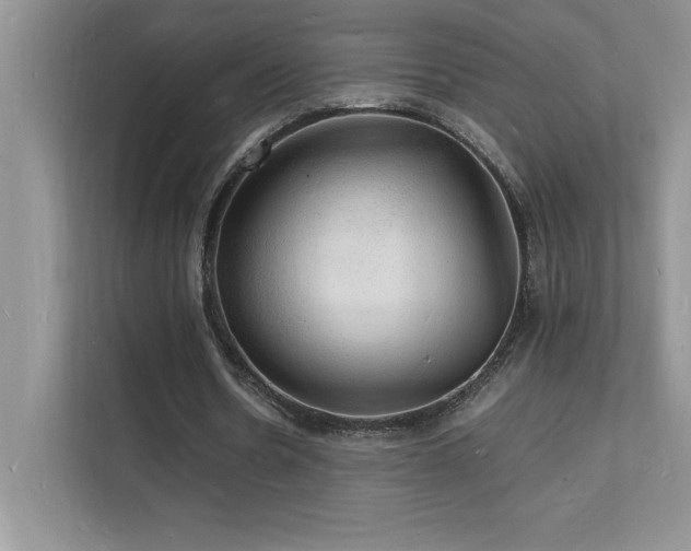 X0000112150530200908071118