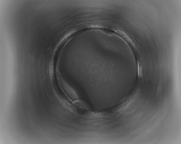 X0000112150531200908071118