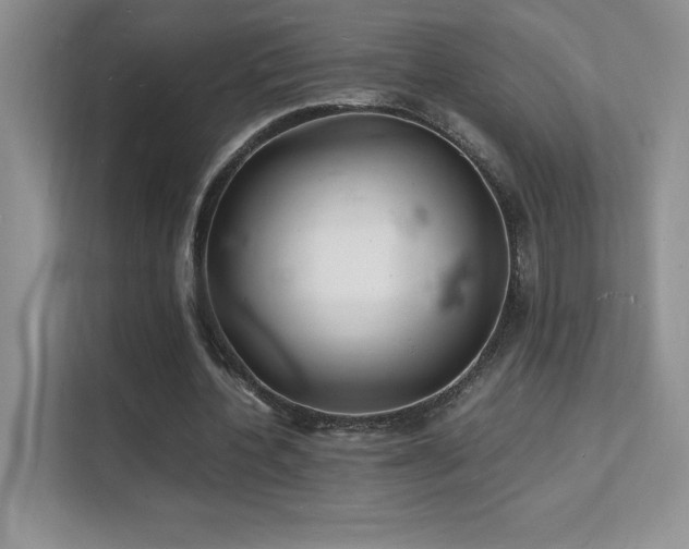 X0000112150532200908071118
