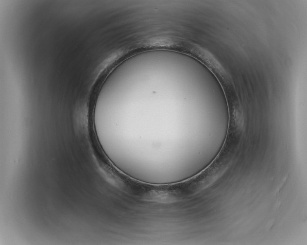 X0000112150534200908071118