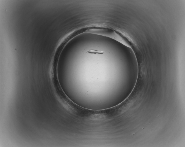 X0000112150536200908071118