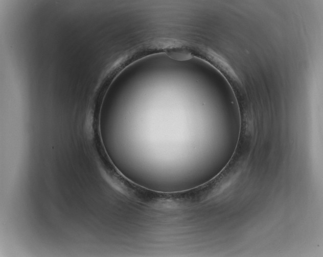 X0000112150538200908071118
