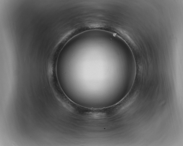 X0000112150539200908071118