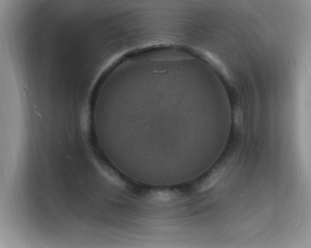 X0000112150540200908071118