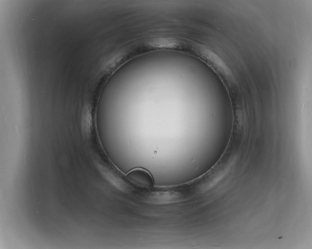 X0000112150541200908071118
