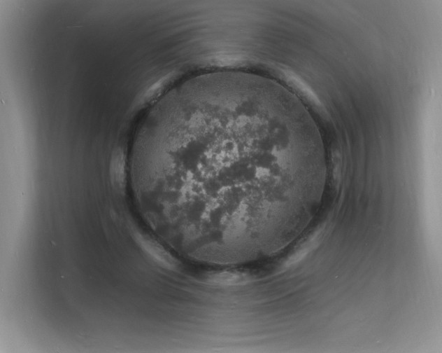 X0000112150542200908071118