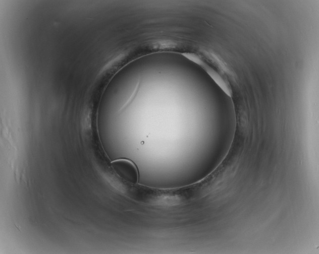 X0000112150543200908071118