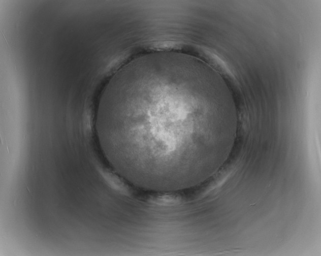 X0000112150546200908071118
