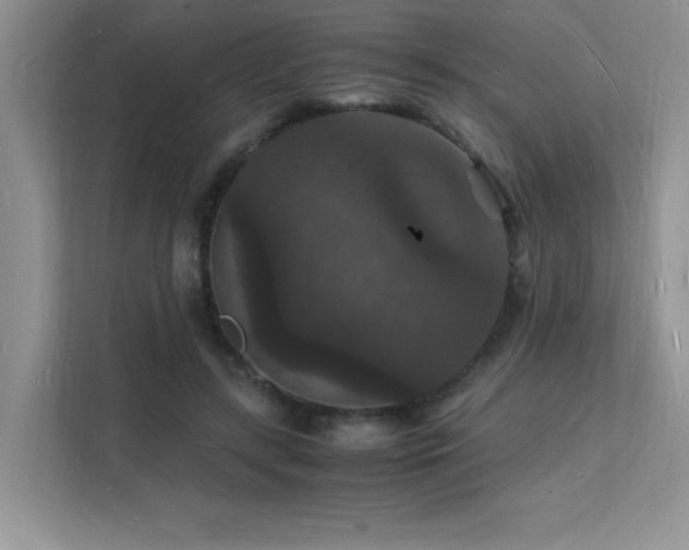 X0000112150547200908071118