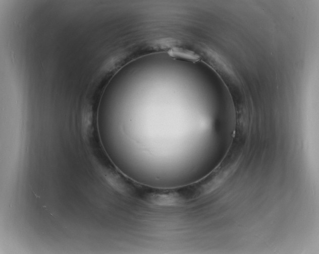 X0000112150548200908071118
