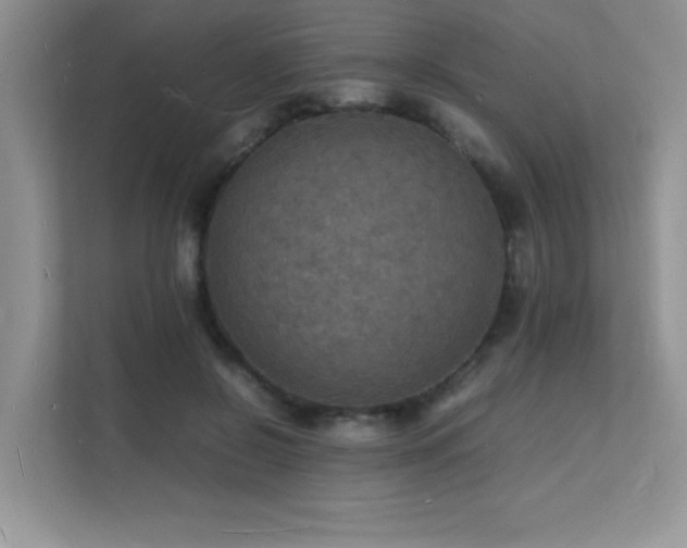 X0000112150550200908071118