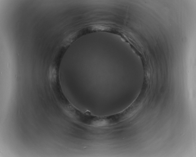 X0000112150551200908071118