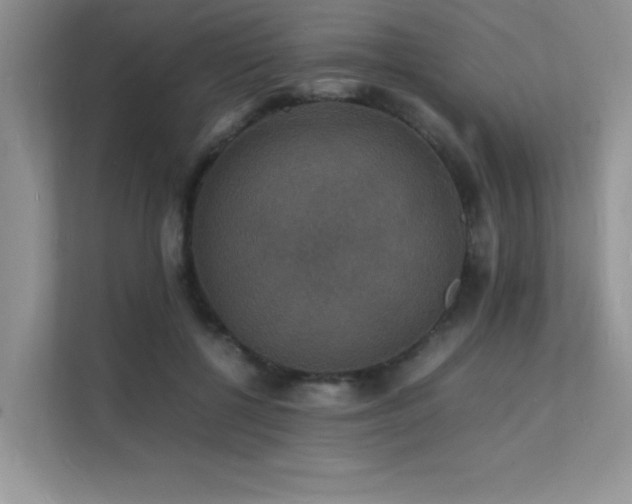 X0000112150552200908071118