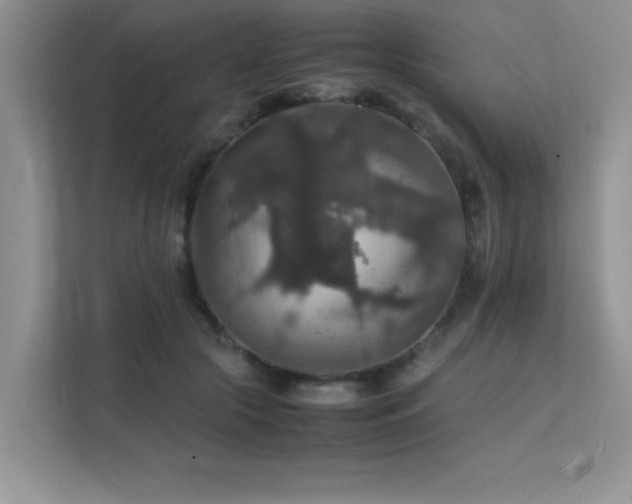 X0000112150553200908071118