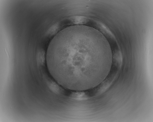 X0000112150554200908071118