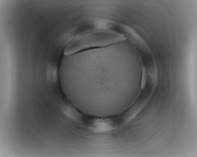 X0000112150556200908071118