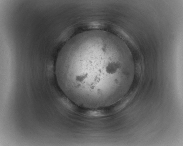 X0000112150557200908071118