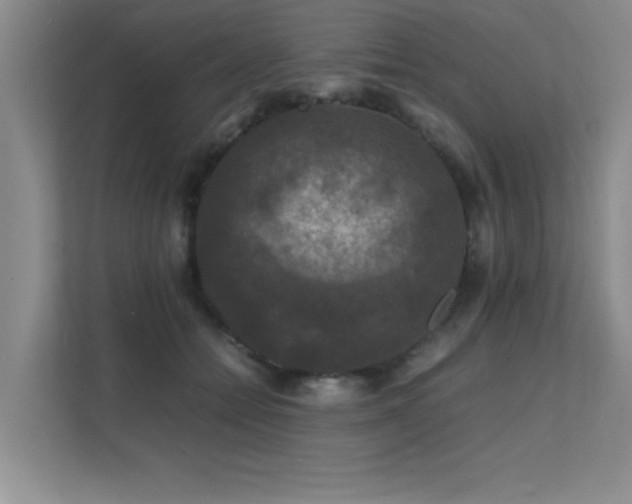 X0000112150558200908071118