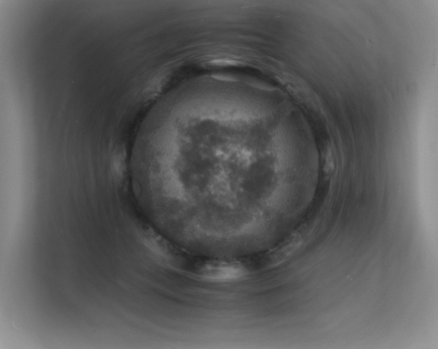 X0000112150559200908071118