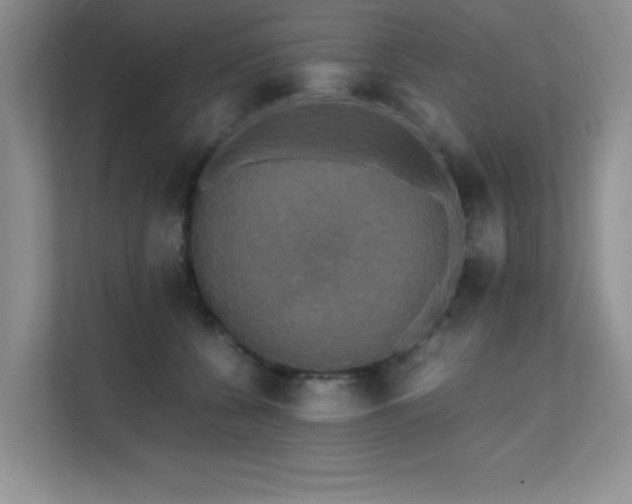 X0000112150560200908071118