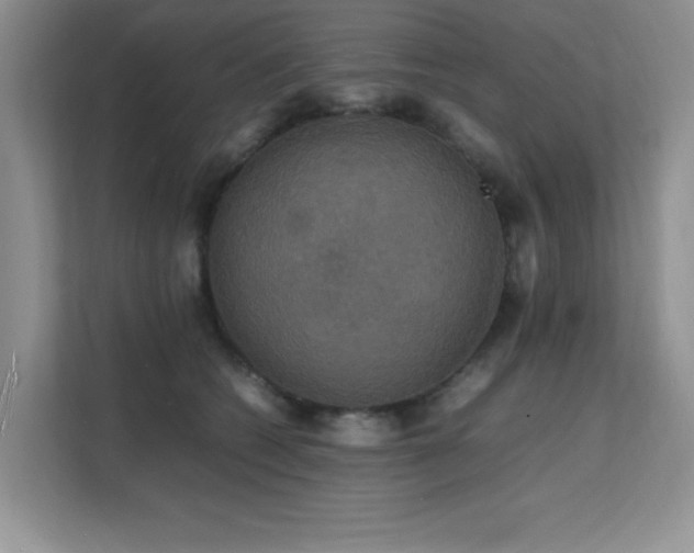 X0000112150562200908071118