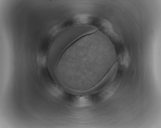 X0000112150564200908071118