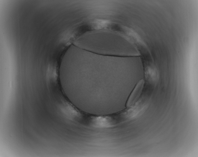 X0000112150566200908071118