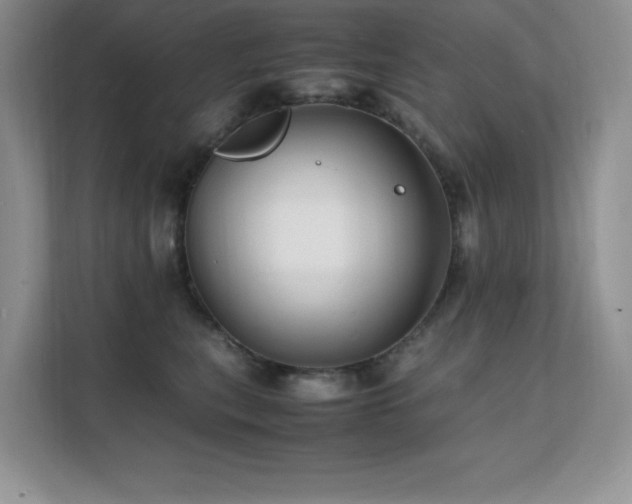 X0000112150567200908071118