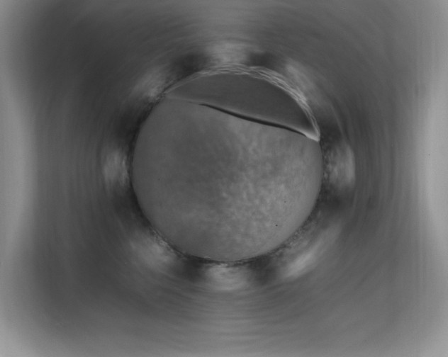 X0000112150568200908071118