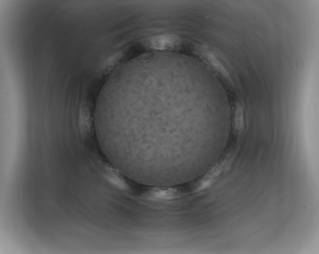 X0000112150569200908071118